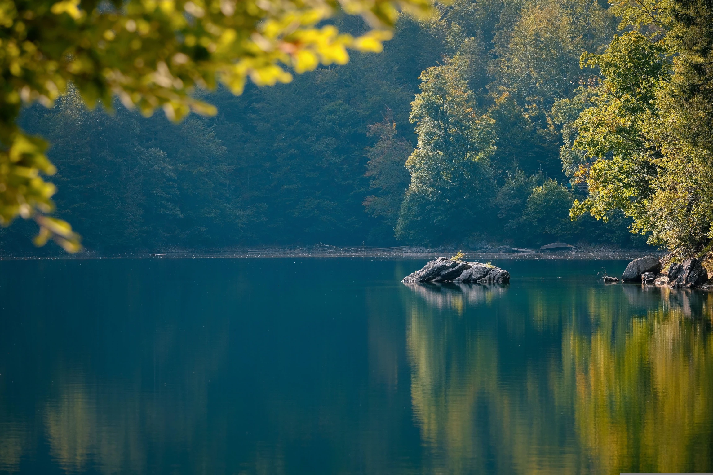 Descripción de la imagen